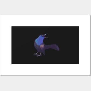 Common Grackle Posters and Art